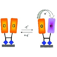 Intramolecular electron transfer in the photomerisation product of a tetrathiafulvalene derivative in solution and on a surface cuadrada