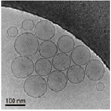 CryoTEM image of Quatsomes