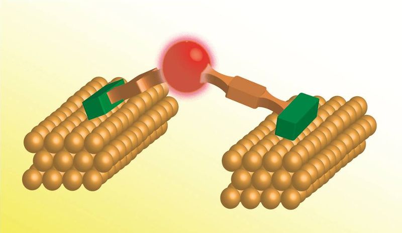 Unimolecular electronics and spintronics